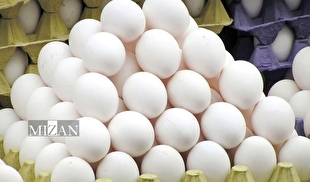 قیمت تخم‌مرغ در میادین و بازار‌های میوه و تره‌بار اعلام شد